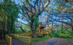 Why Move to Davie, FL